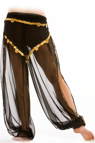 Slit Sheer Harem Pants Belly Dance Costumes