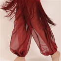 Harem Pants - Belly Dance Costume
